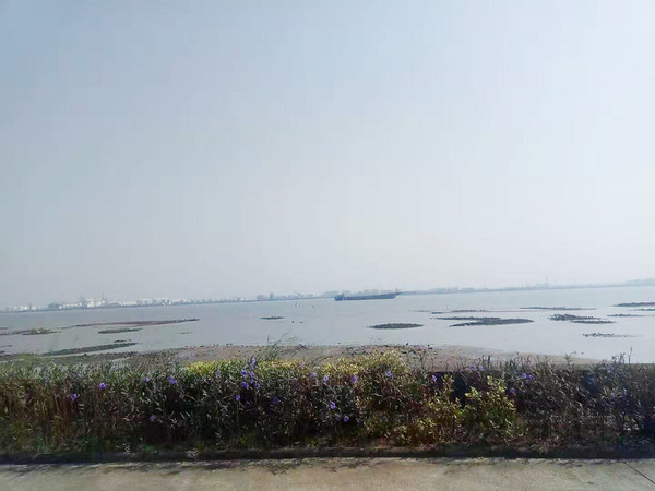 海鷗島1.jpg