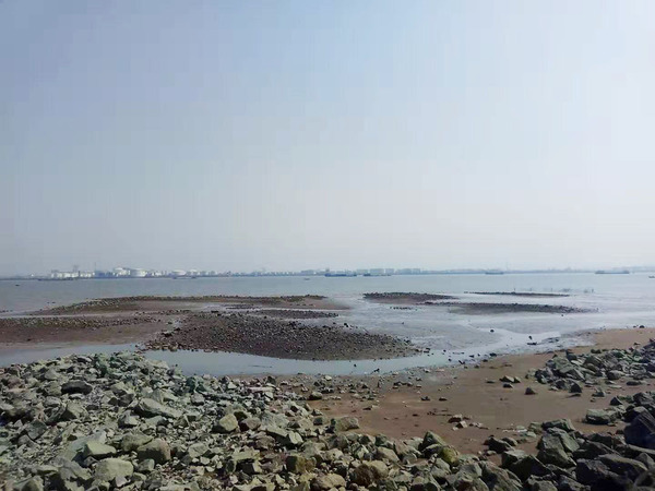 海鷗島.jpg