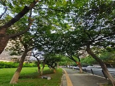 草地上有許多樹AI 生成的內容可能不正確。