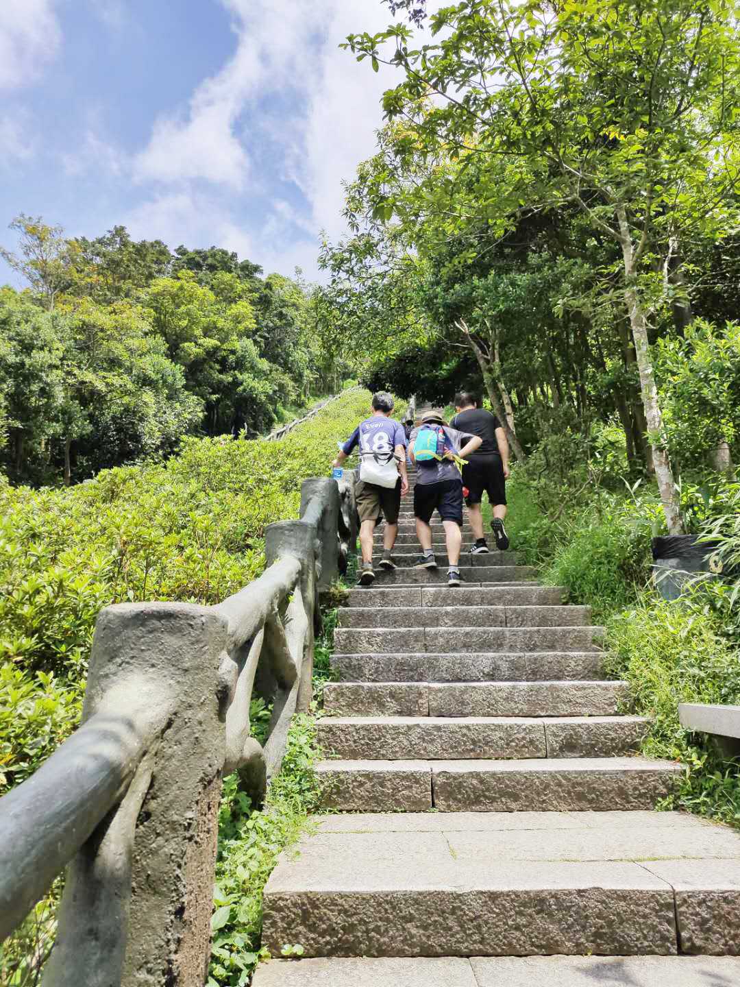 棧道1.jpg