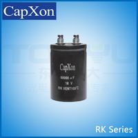 丰宾电容 RK Series