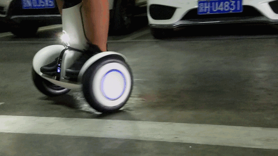 timg (3).gif