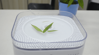微信圖片_20200331152202.gif