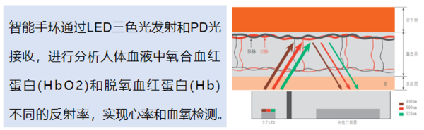 血氧檢測原理.png