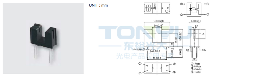 ITR9606.jpg
