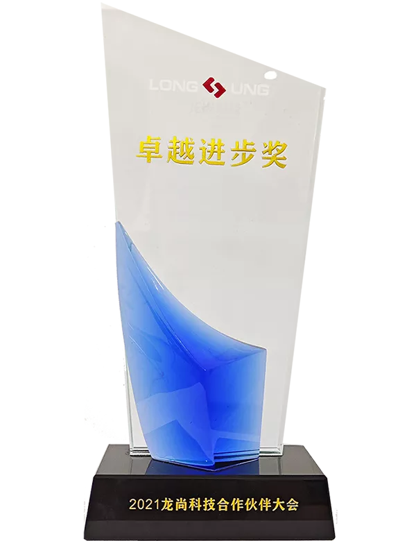龙尚科技2021年度卓越进步奖